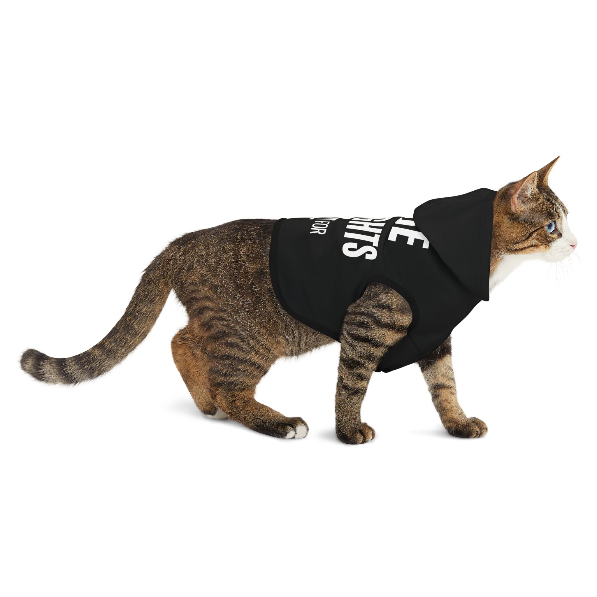 Rights Taken Are Rights Fought for | Empowered Pet Hoodie | Sizes From XXS to 2XL