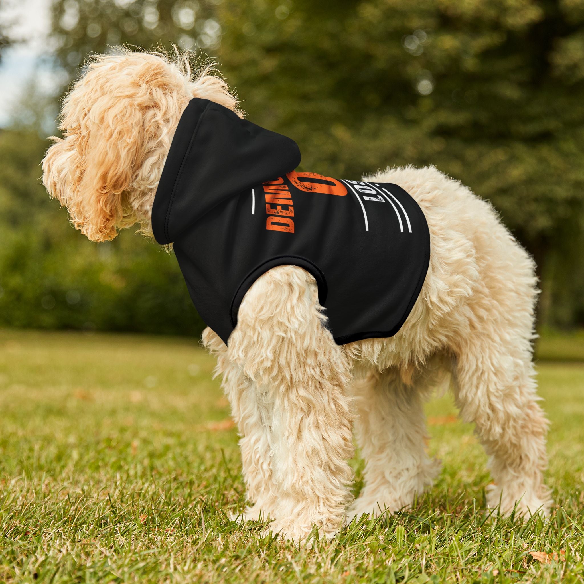 Defend Democracy or Lose It | Pet Hoodie | Sizes From XXS to 2XL
