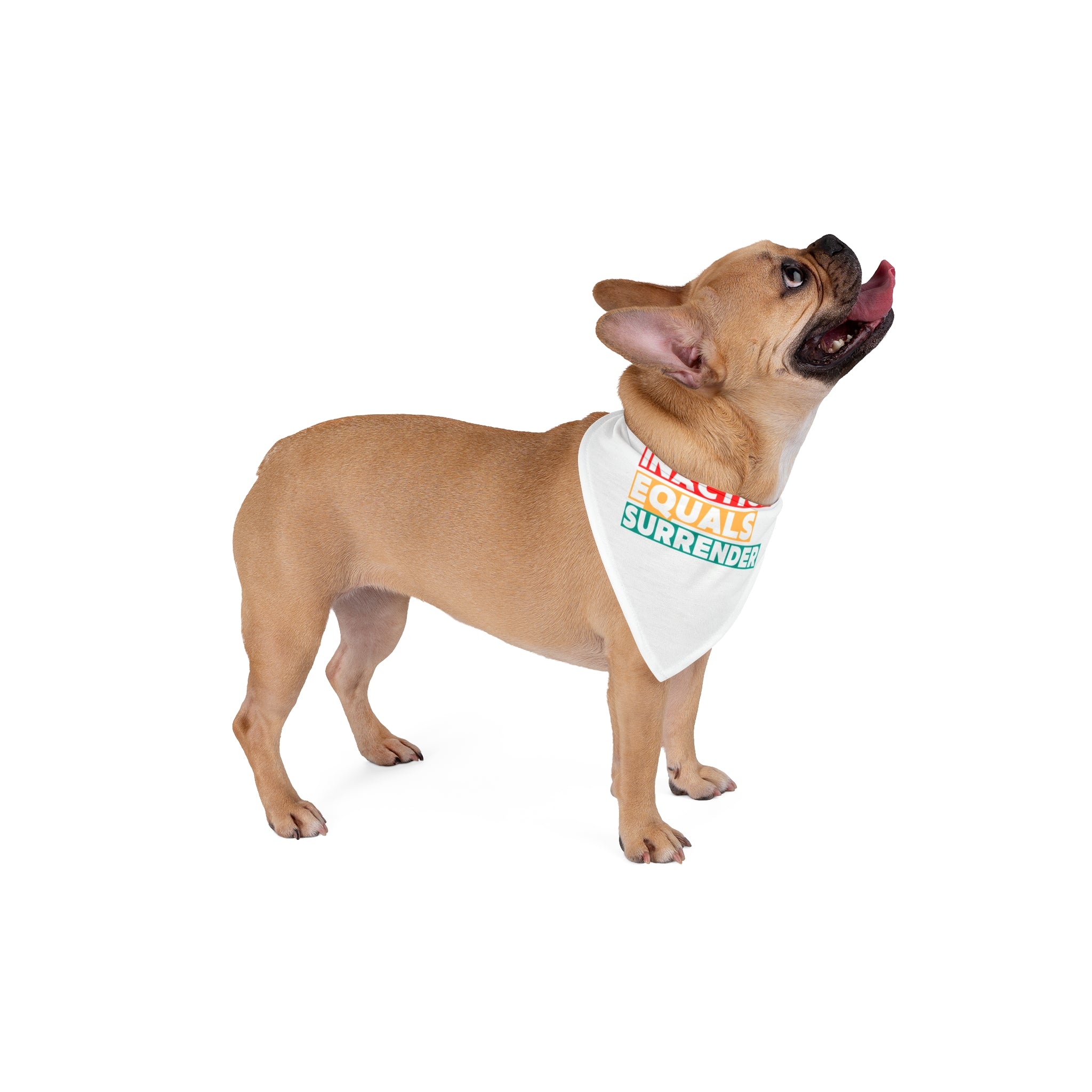 Inaction Equals Surrender | Inspirational Pet Bandana | For Rebel Pets
