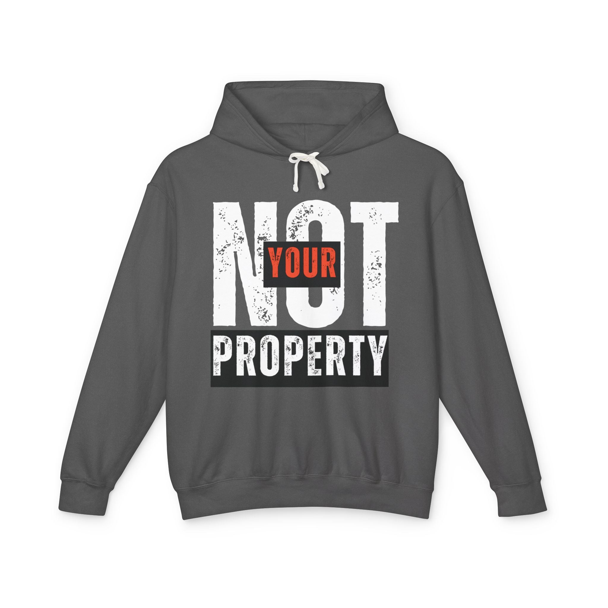 Not Your Property | 100% Cotton Men's Lightweight Hoodie | Sizes Up To 3XL