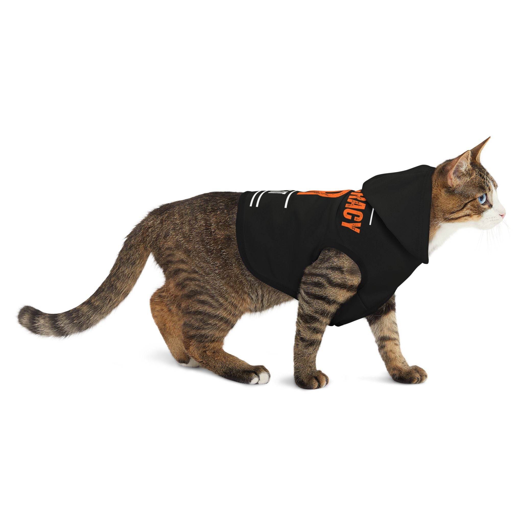 Defend Democracy or Lose It | Pet Hoodie | Sizes From XXS to 2XL