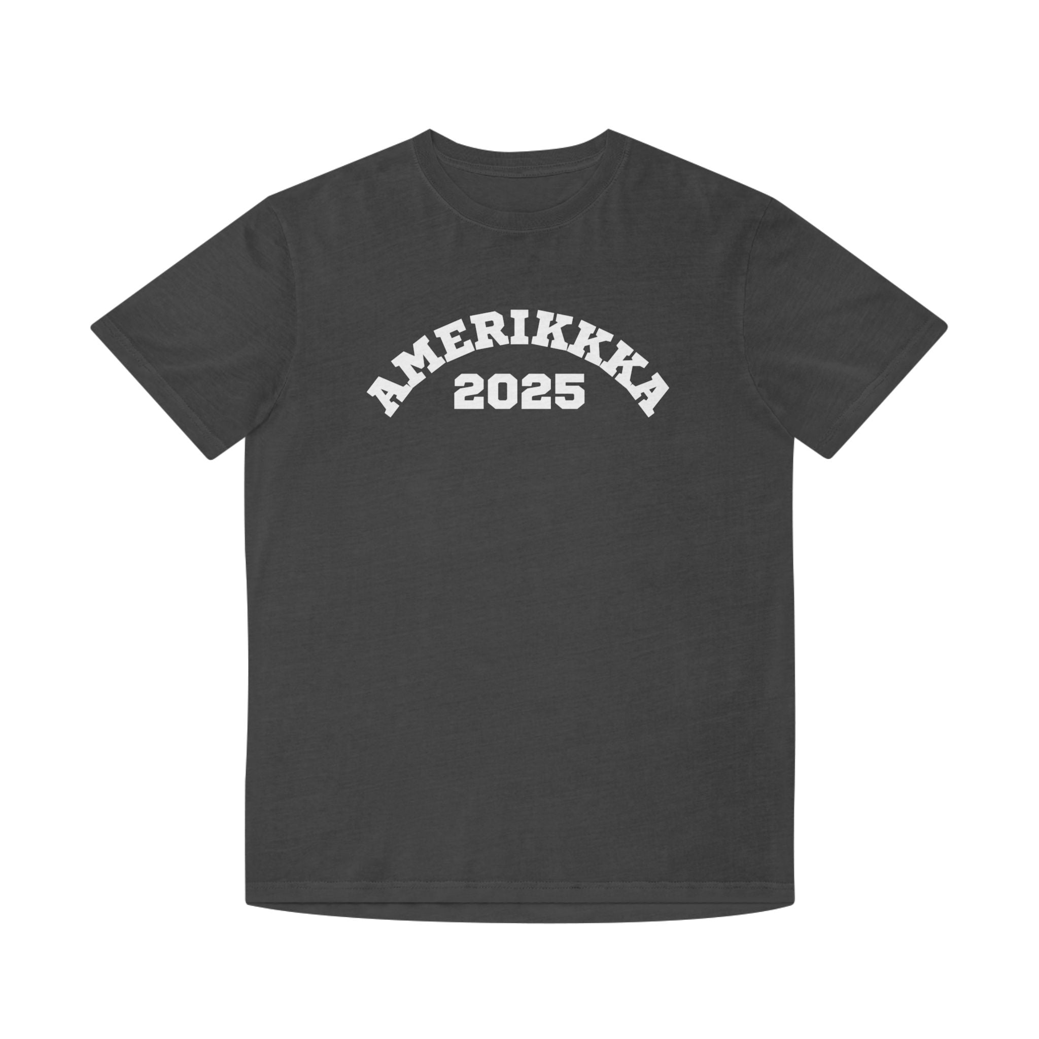 Amerikkka 2025 | Men's Faded T-Shirt  | Sizes Up To 2XL