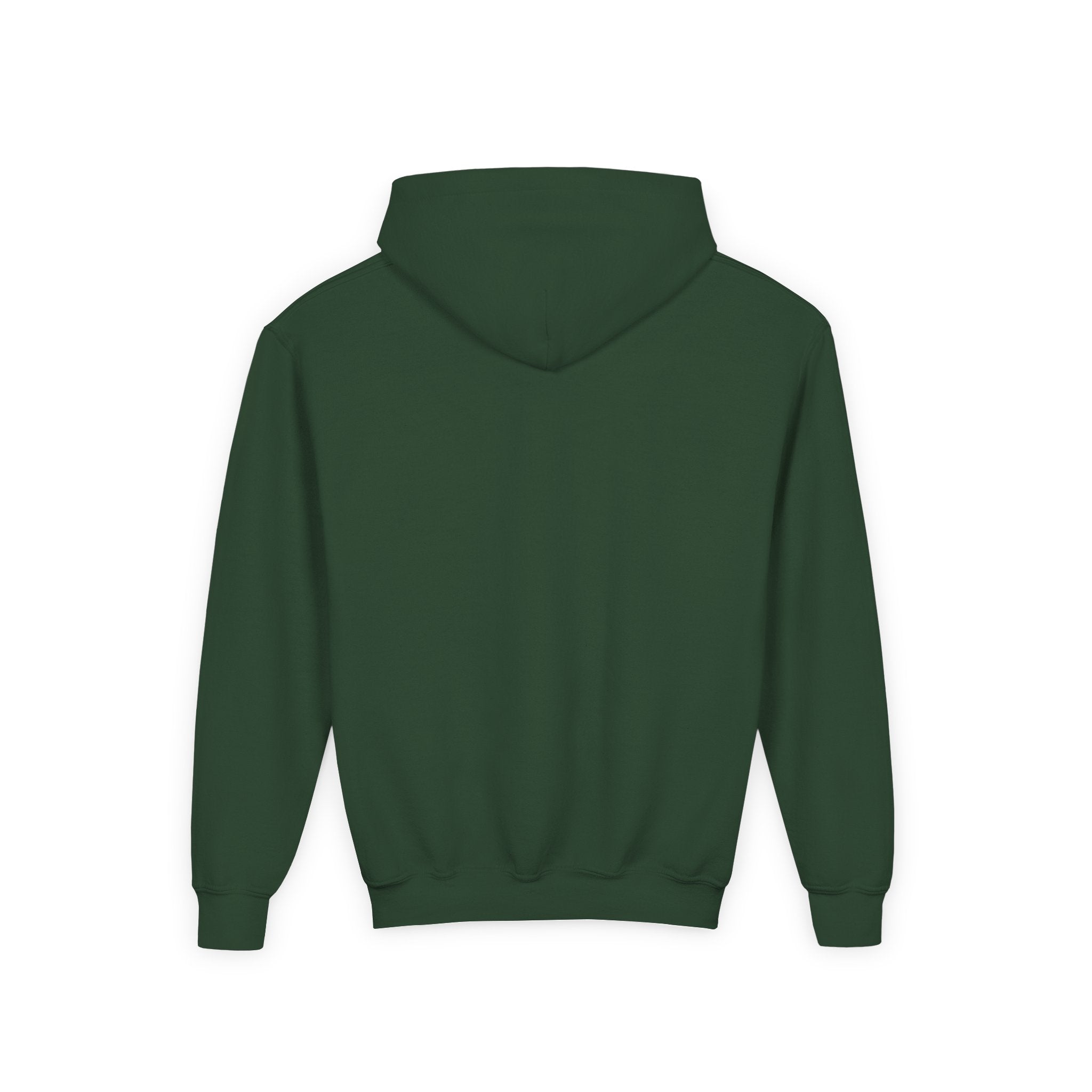 AMERIKKKA 2025 Youth Hoodie | The Truth They Want You to Ignore