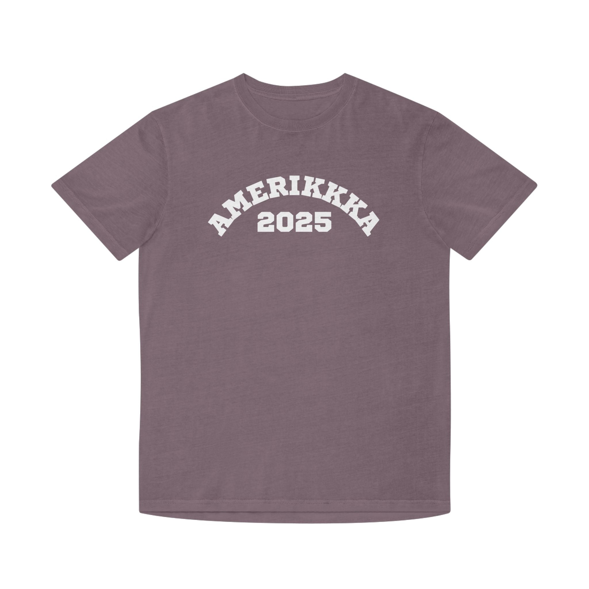 Amerikkka 2025 | Men's Faded T-Shirt  | Sizes Up To 2XL