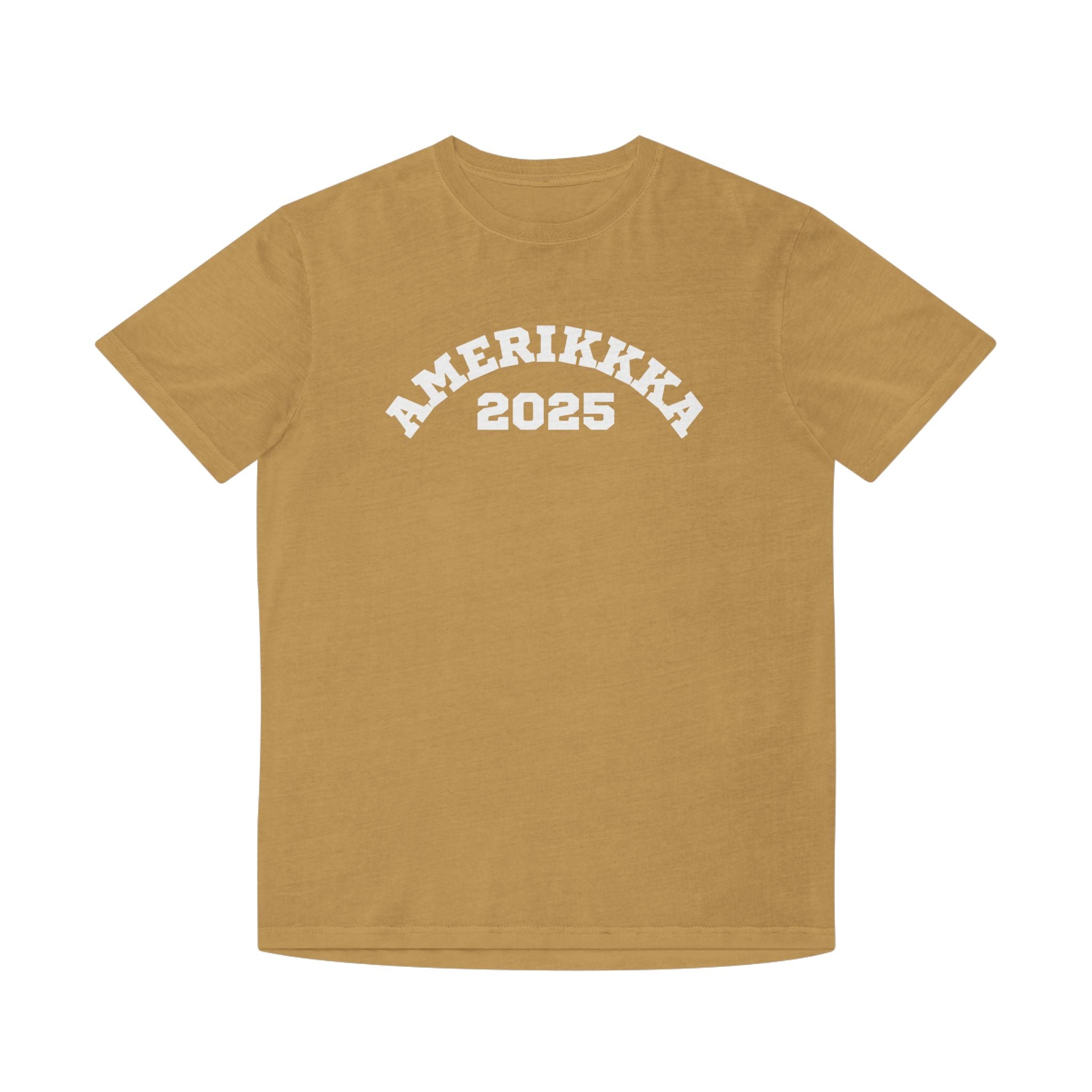 Amerikkka 2025 | Men's Faded T-Shirt  | Sizes Up To 2XL