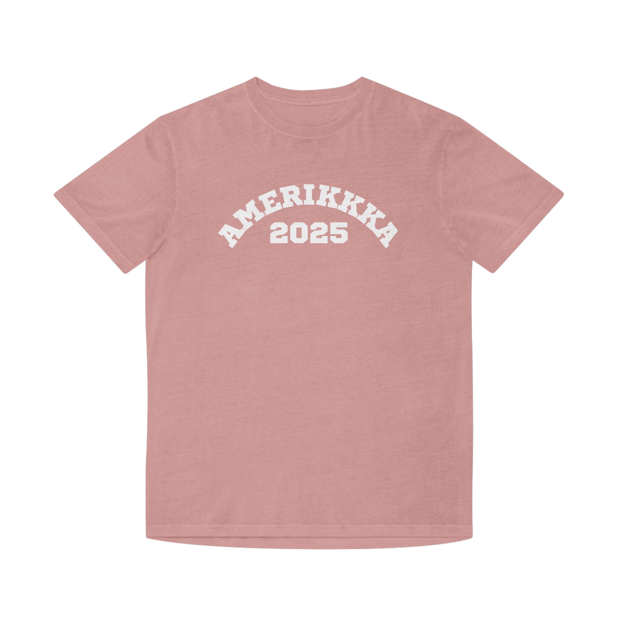 Amerikkka 2025 | Men's Faded T-Shirt  | Sizes Up To 2XL