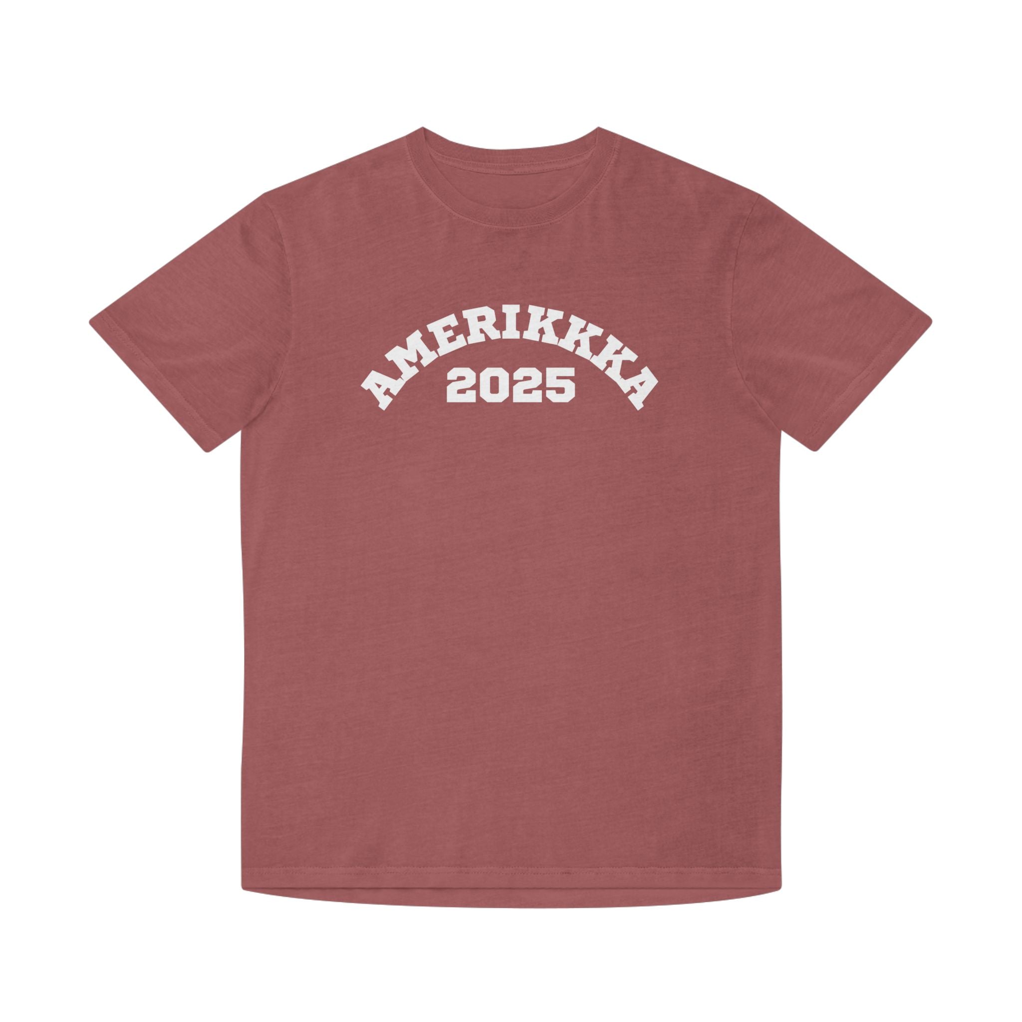 Amerikkka 2025 | Men's Faded T-Shirt  | Sizes Up To 2XL