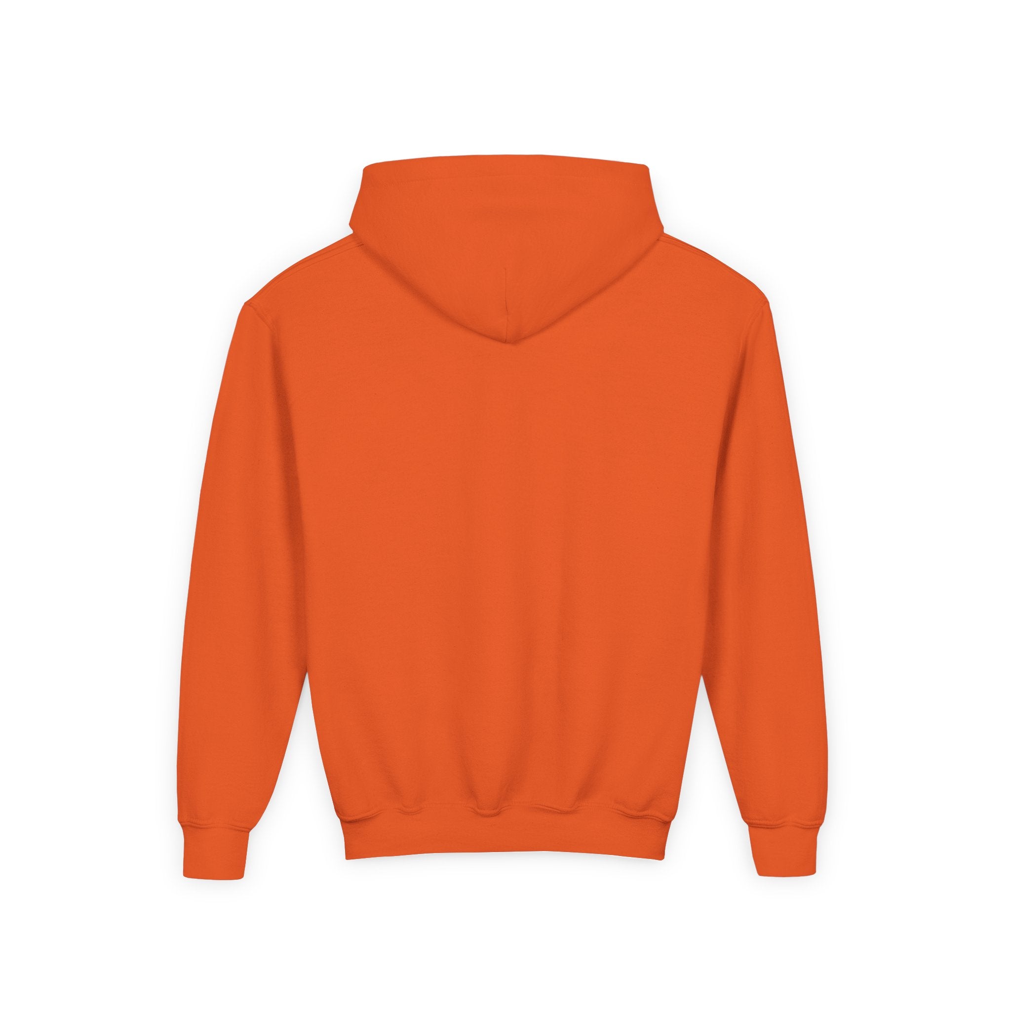 AMERIKKKA 2025 Youth Hoodie | The Truth They Want You to Ignore