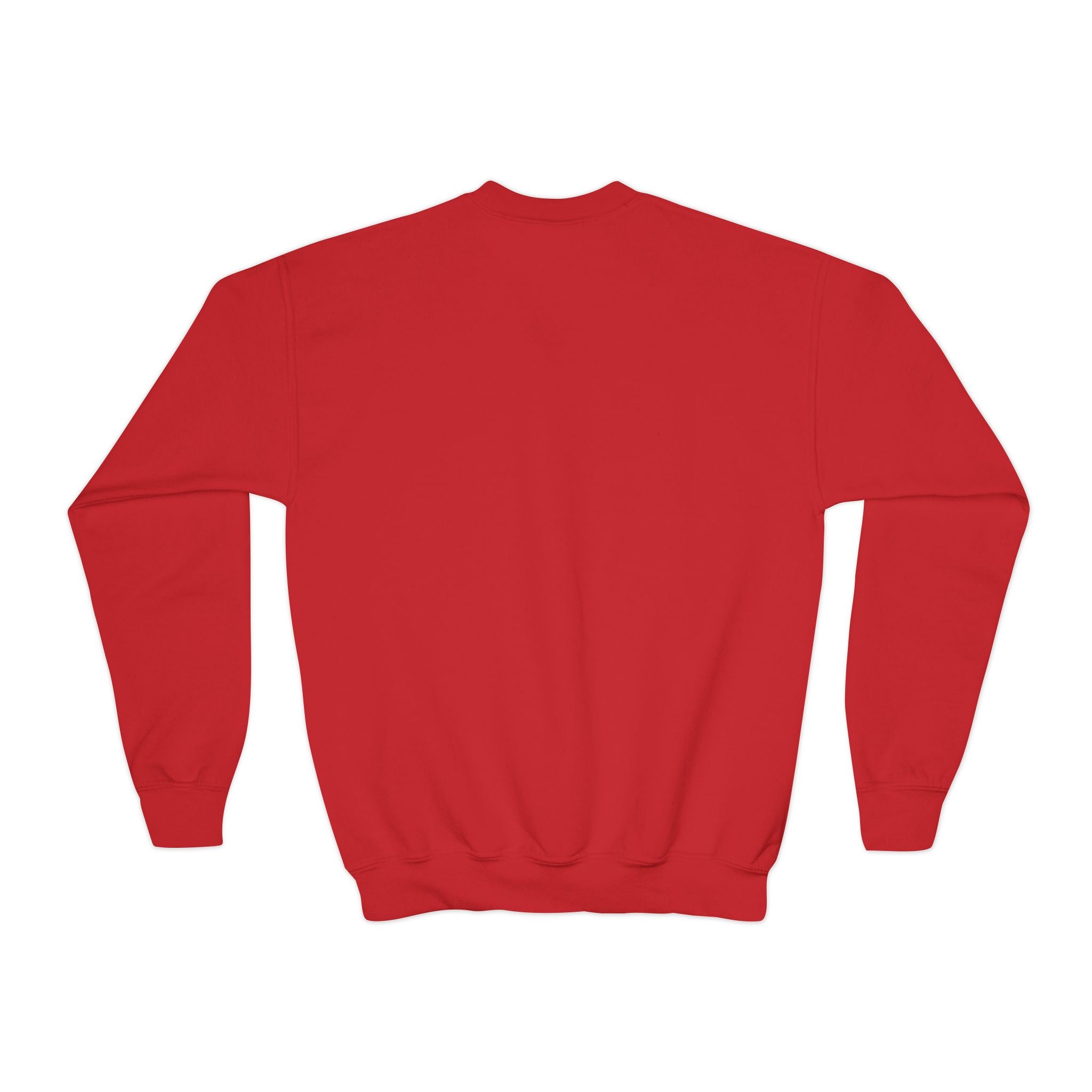 'Everything Will Not Be OK' | Youth Resistance Sweatshirt