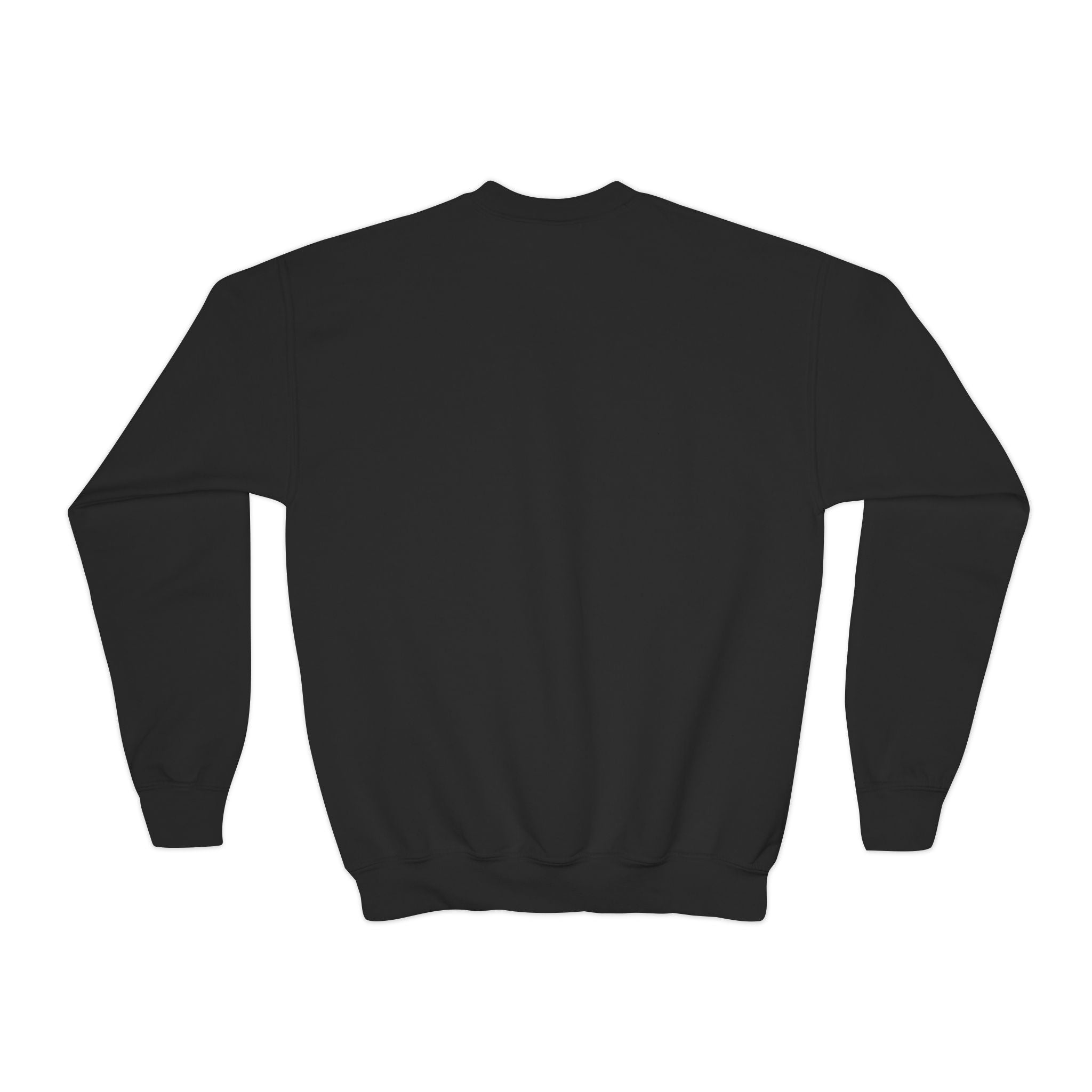 'Everything Will Not Be OK' | Youth Resistance Sweatshirt
