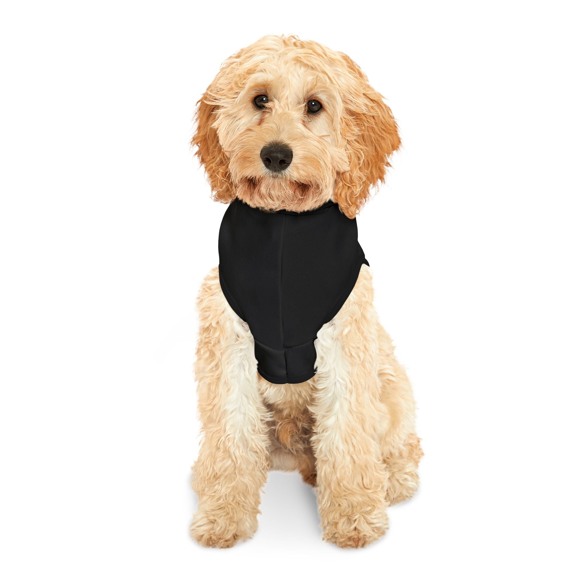 Rebel Pet Hoodie | Stand Against the Oligarchy | They Will Profit While We Suffer